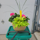 Geranium - 13.5" Wide x 10" Tall Tan Plastic Pot-3