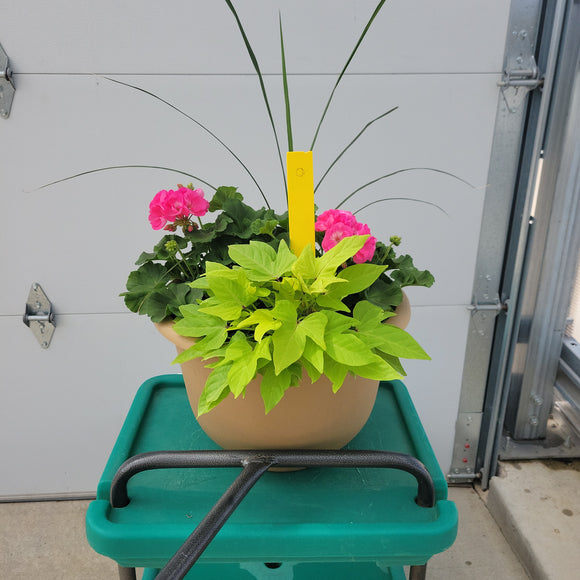 Geranium - 13.5" Wide x 10" Tall Tan Plastic Pot