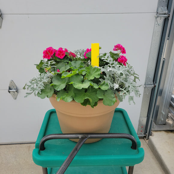 Geranium - 14" Wide x 11" Tall Tan Plastic Pot