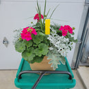 Geranium - 14" Wide x 11" Tall Tan Plastic Pot-4