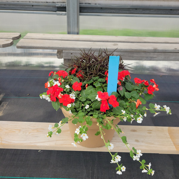 Part Sun (Impatiens & Pansy) - 10" Wide x 8" Tall Tan Plastic Pot