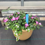 Part Sun (Impatiens & Pansy) - 16" Wide x 12" Tall Tan Plastic Pot