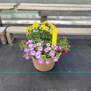 Trailing Mini Petunia – 10" Wide x 8" Tall Tan Plastic-2