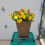 Trailing Petunia - 12" Wide x 16" Tall Fiber Pot