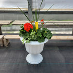 Geranium - 14" Wide x 13" Tall White Plastic Urn