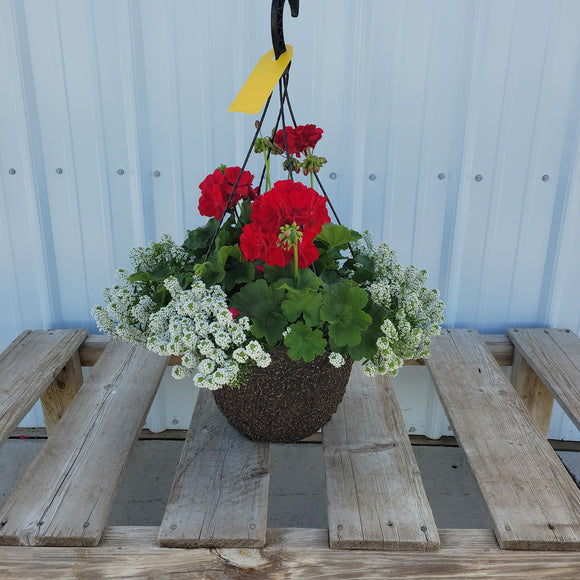 Geranium Hanging Basket with Trailing Plant- 12" Diameter