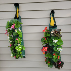 Flower Pouch - Begonia