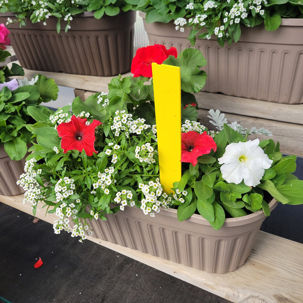 Small Planter (Sun) - 16" Long Oval