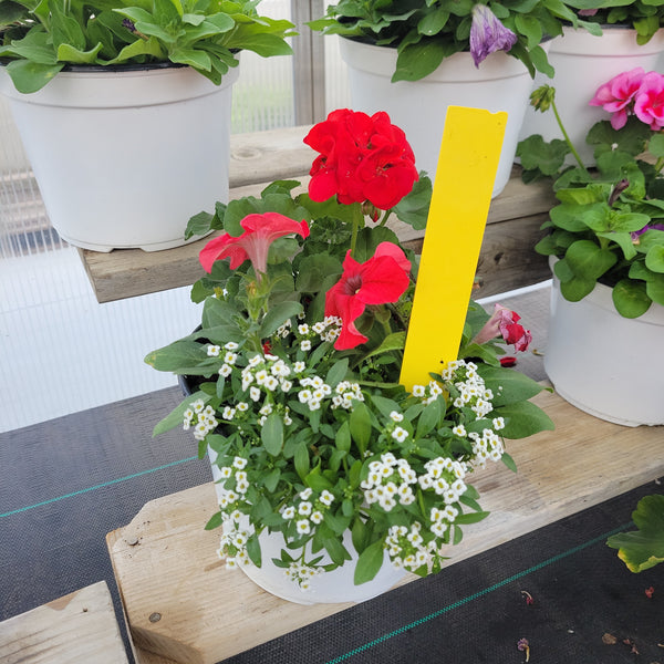 Small Planter (Sun) - 8" Wide x 6" Tall Plastic