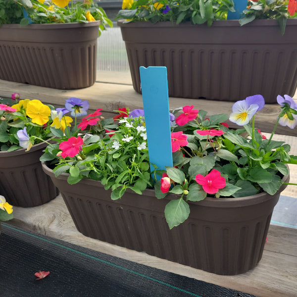 Small Planter (Part Sun) - 16" Long Oval