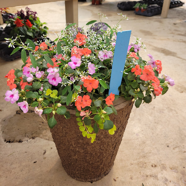 Part Sun (Impatiens & Pansy) – 12" Wide x 16" Tall Fiber Pot