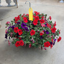 Trailing Petunia Hanging Basket - 10" Diameter-1