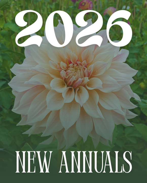 2026 new annuals