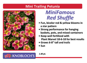 Petunia - Mini Trailing MiniFamous Red Shuffle