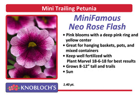 Petunia - Mini Trailing MiniFamous Neo Rose Flash