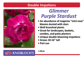 Impatiens - Dbl. Glimmer Purple Stardust