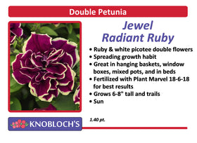 Petunia - Trailing Double Jewel Radiant Ruby