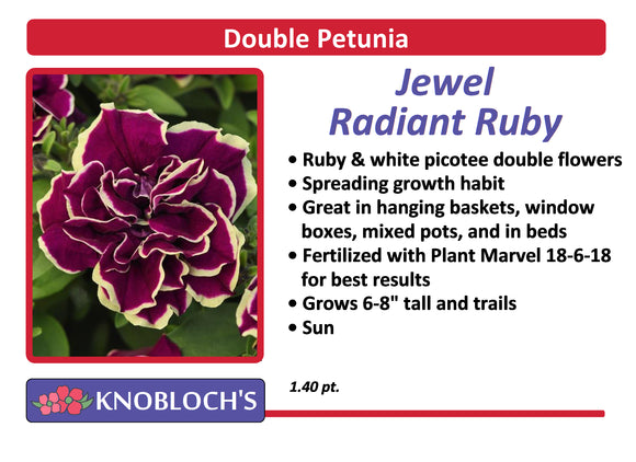 Petunia - Trailing Double Jewel Radiant Ruby
