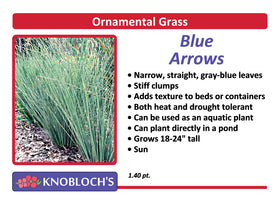Grass - Blue Arrows