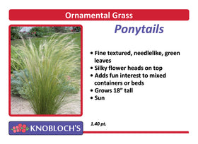 Grass - Ponytails