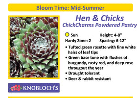 Hen & Chicks - ChickCharms Powdered Pastry