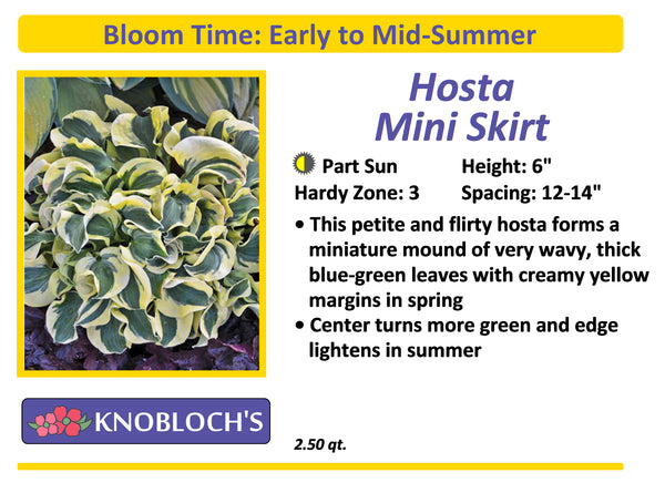 Hosta - Mini Skirt