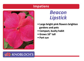 Impatiens - Beacon Lipstick (3 pk)