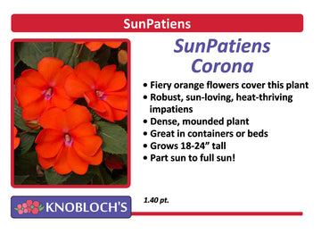 Impatiens - SunPatiens Corona