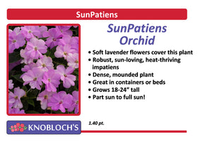 Impatiens - SunPatiens Orchid