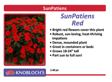 Impatiens - SunPatiens Red