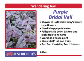 Ivy - Purple Bridal Veil