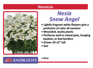 Nemesia - Nesia Snow Angel