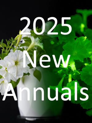 New annuals 2025