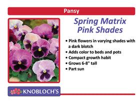 Pansy - Spring Matrix Pink Shades