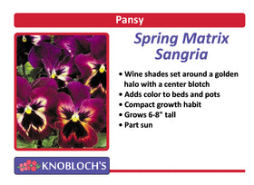 Pansy - Spring Matrix Sangria (3 pk)