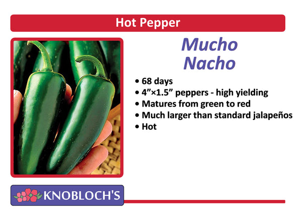 Pepper - Mucho Nacho