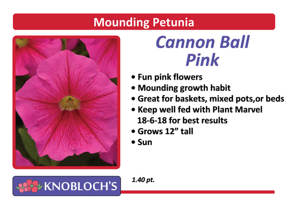 Petunia - Mounding Cannon Ball Pink