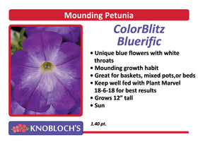Petunia - Mounding Color Blitz Bluerific