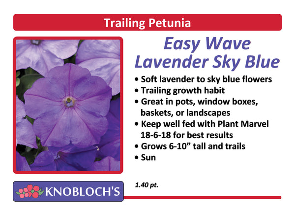 Petunia - Trailing Easy Wave Lavender Sky Blue
