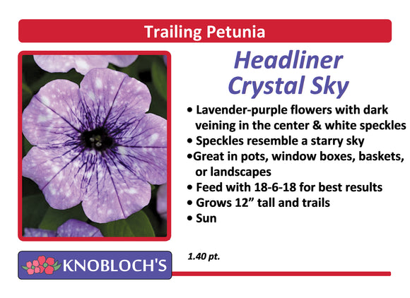 Petunia - Trailing Headliner Crystal Sky