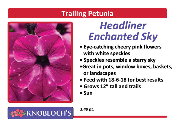 Petunia - Trailing Headliner Enchanted Sky