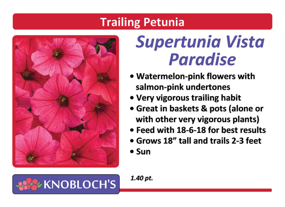 Petunia - Trailing Supertunia Vista Paradise