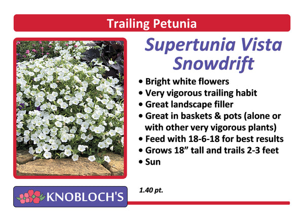 Petunia - Trailing Supertunia Vista Snowdrift