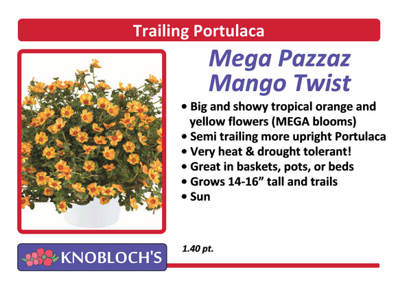Portulaca - Trailing Mega Pazazz Mango Twist