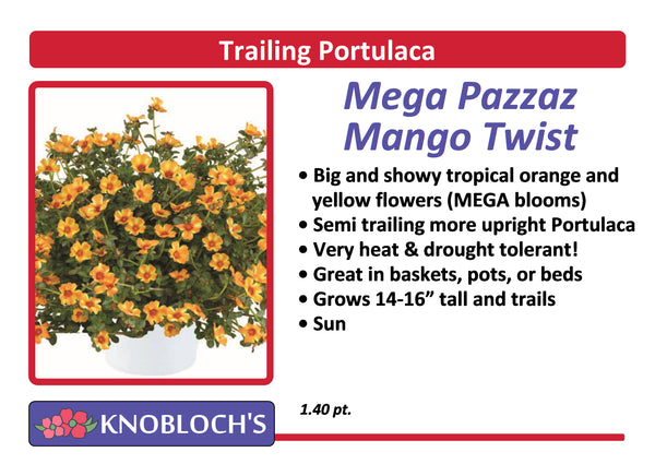 Portulaca - Trailing Mega Pazazz Mango Twist
