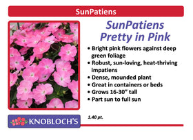 Impatiens - SunPatiens Pretty in Pink