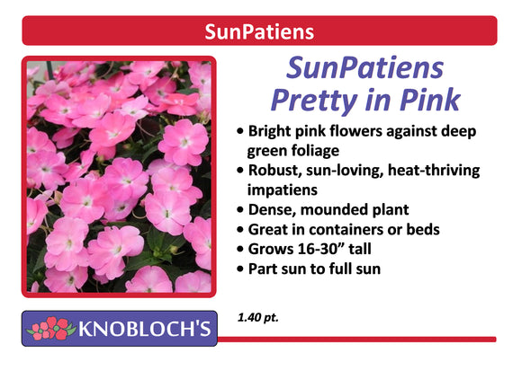 Impatiens - SunPatiens Pretty in Pink