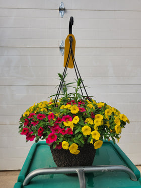 Mini Trailing Petunia Hanging Basket - 10" Diameter