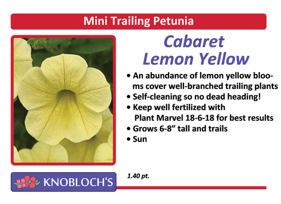 Petunia - Mini Trailing Cabaret Lemon Yellow