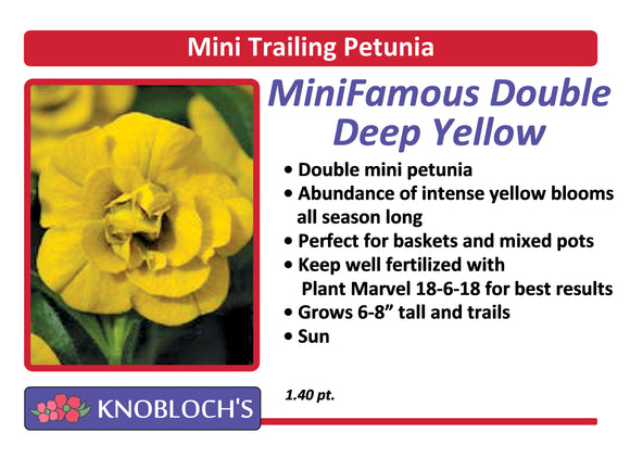 Petunia - Mini Trailing Mini Famous Dbl. Deep Yellow